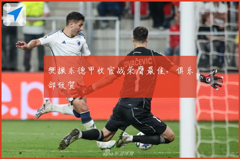 樊振东德甲收官战荣膺最佳，俱乐部致贺