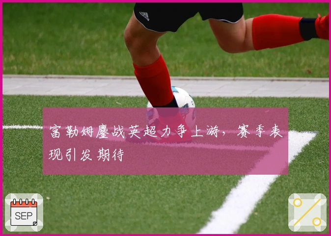 富勒姆鏖战英超力争上游，赛季表现引发期待